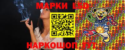 мяу мяу мука Кандалакша