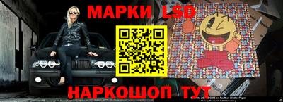 apvp Канаш