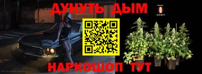 apvp Канаш