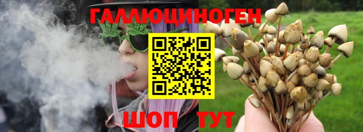 Галлюциногенные грибы Psilocybine cubensis Карталы